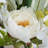 Peony Arrangement