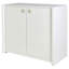 Bailey Solid Wood 2 - Door Accent Cabinet-111695328
