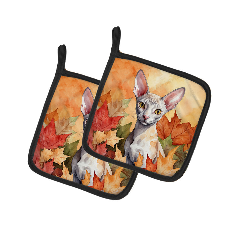 Paire de poignées pour chat Cornish Rex