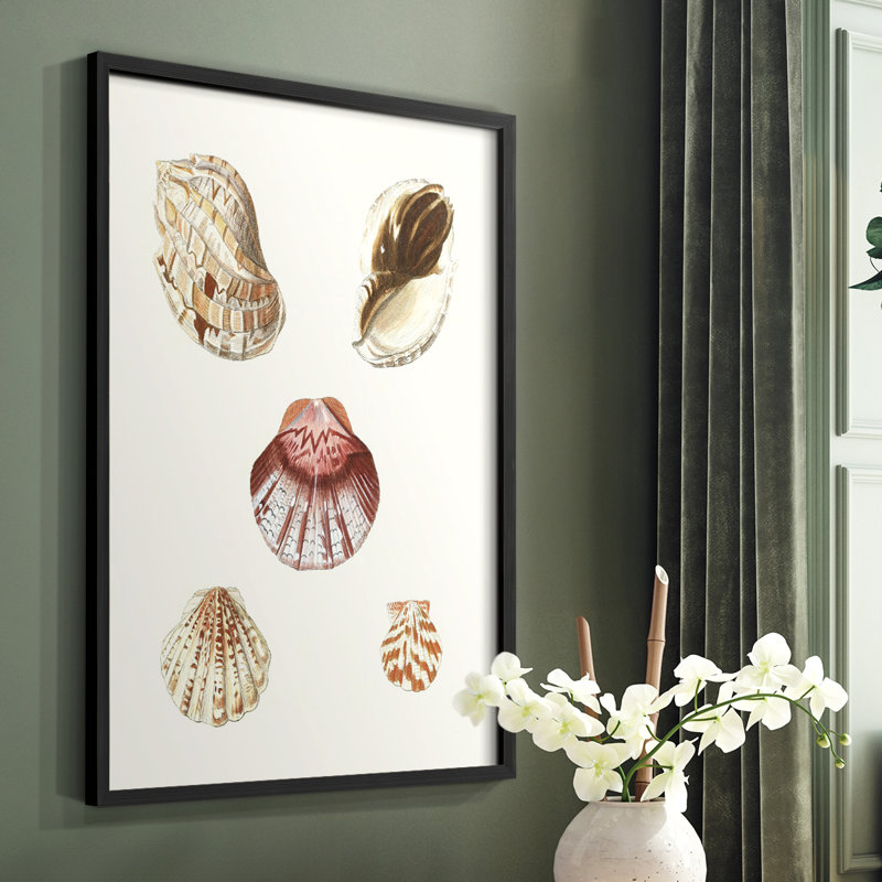 «Pastel Knorr Shells», reproduction encadrée en bois massif, Noir, H 20 po x l 16 po