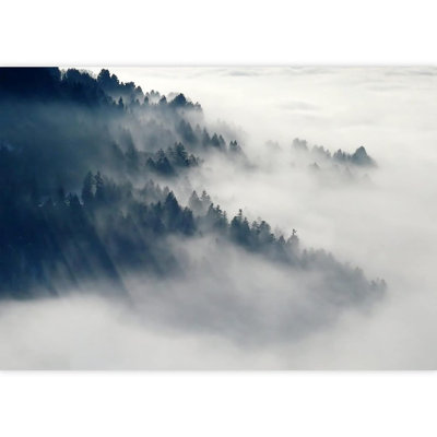 Murale Misty Mountain Forest Range