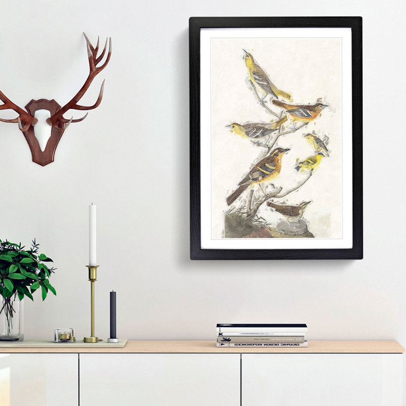 A Collection of Birds by John Audubon - Framed Print, 33cm H x 24cm W x 2cm D, Black Framed