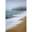 Baleine grise-223432166-212090837-212090842