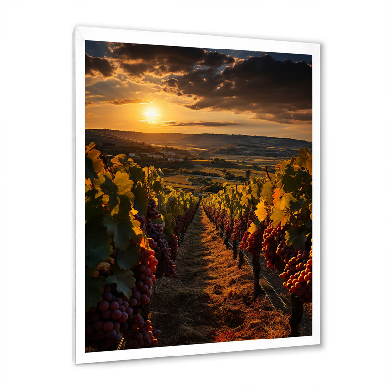 Vignobles français à Bordeaux - Décoration murale de ferme, Cadre photo blanc, H 32 po x l 16 po x P 1 po