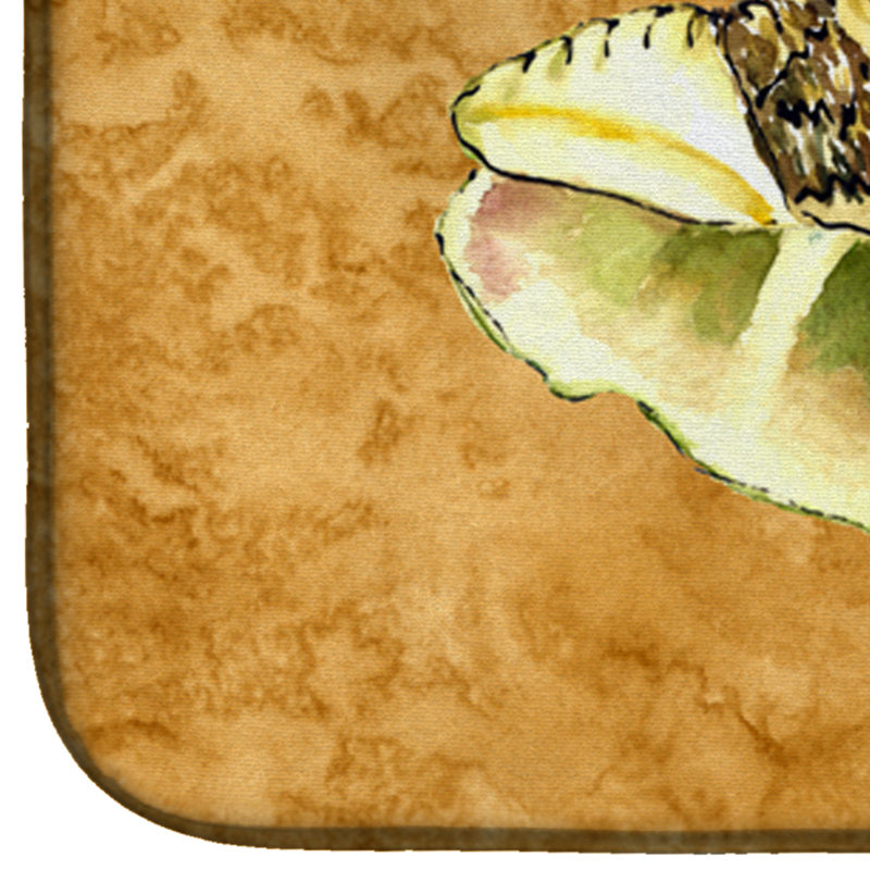 Tapis de séchage de coquillage
