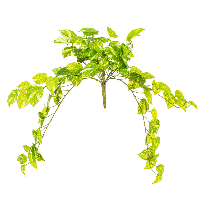 25" Artificial Manjula Pothos Bush
