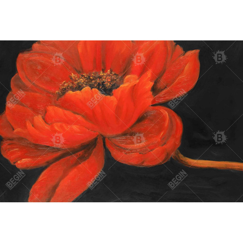 " Red Petal Flower "