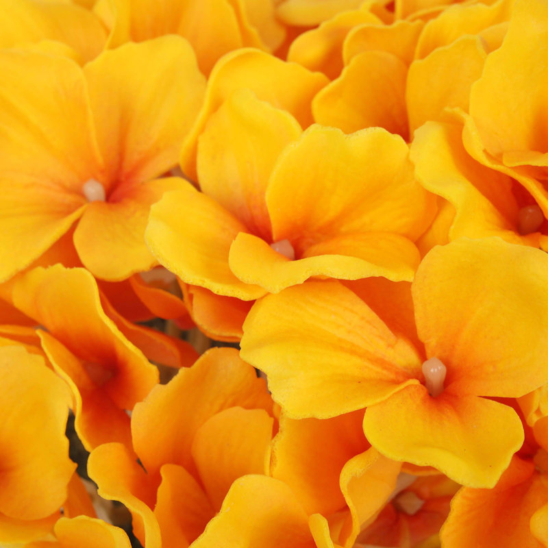 Bouquet d'hortensias dans un panier blanc, Jaune