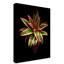 «Pineapple» par Dosta, impression sur toile tendue-29224531