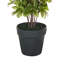Artificial Plant NOVELLA 36 cm-283196059