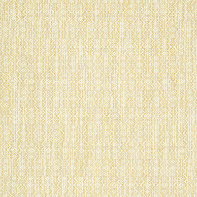 Performance Crypton Home Fabric