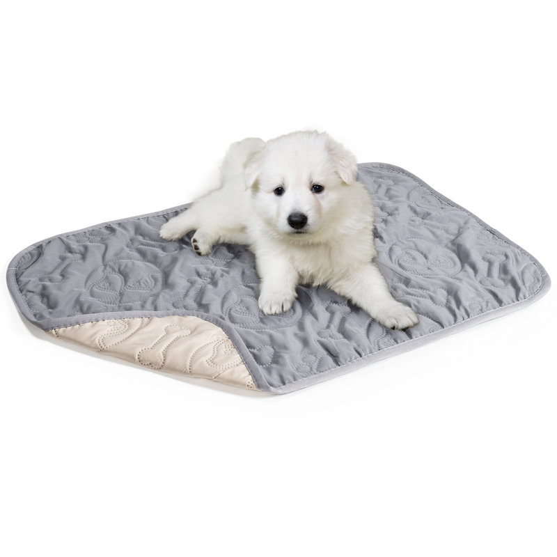 Ensemble de 2 couvertures imperméables pour animaux, chats et chiens lavables Catalonia, Taupe / Gris clair