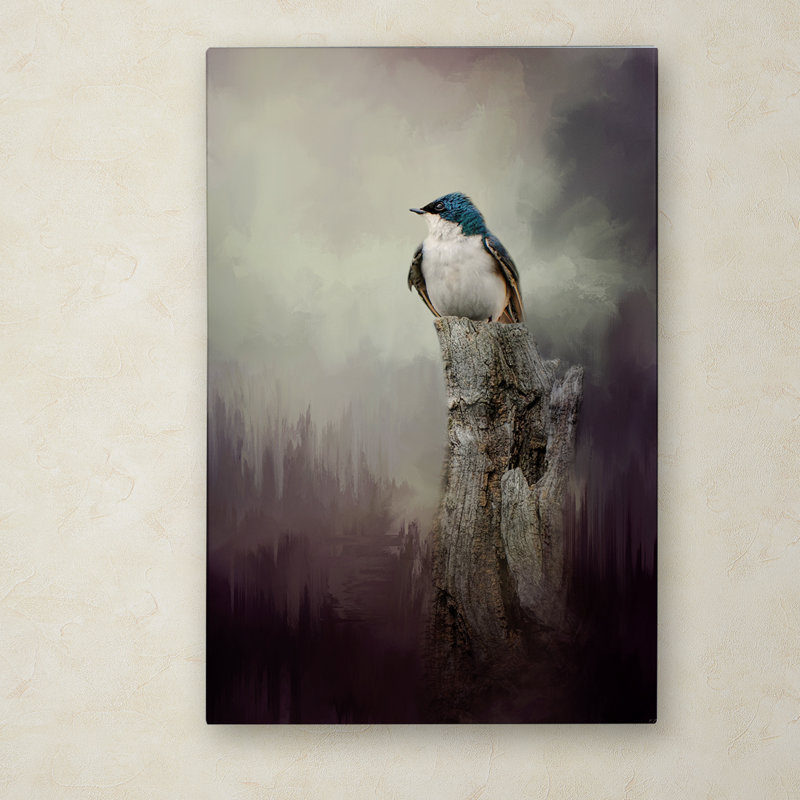 «Resting Tree Swallow» de Vidur, impression sur toile tendue, H 24 po x l 16 po