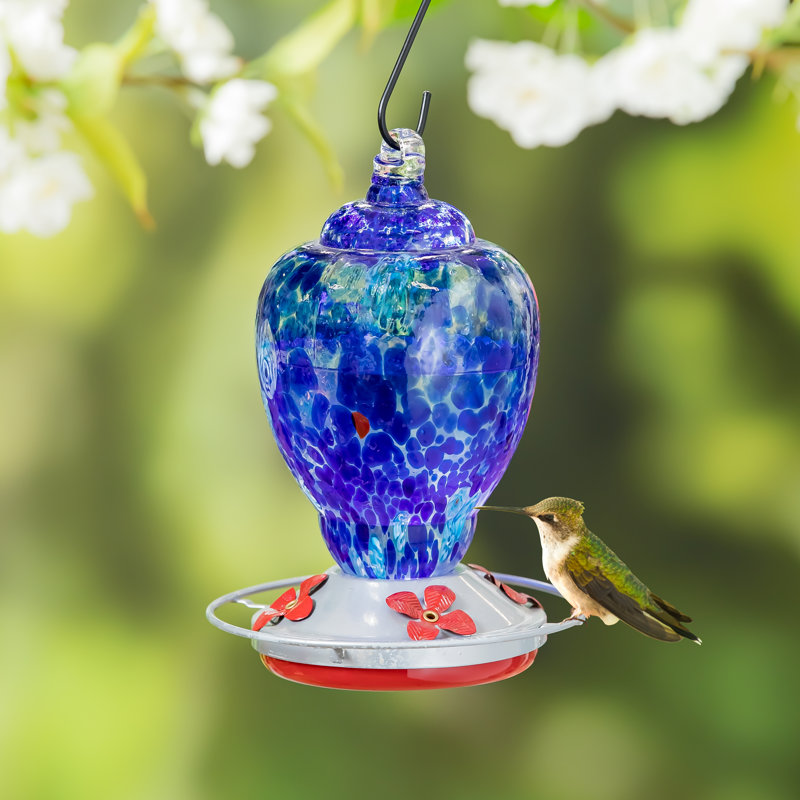 Mangeoire à colibri Jalaysia