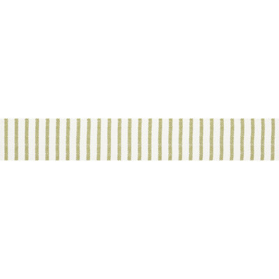 Salton Tape