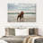 Brampt Pit Bull On Beach-106428983