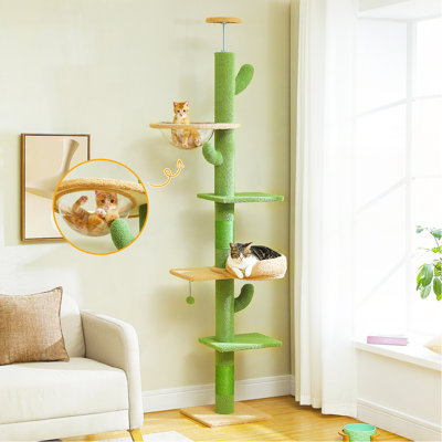 [87 "-101.2"] Arbre à chat Cactus