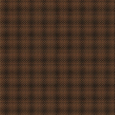 Indoor Rug