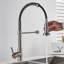 Belfry Kitchen Wall Pull Down Kitchen Faucet-403067263