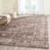 Bristol Point Performance Oriental Rug