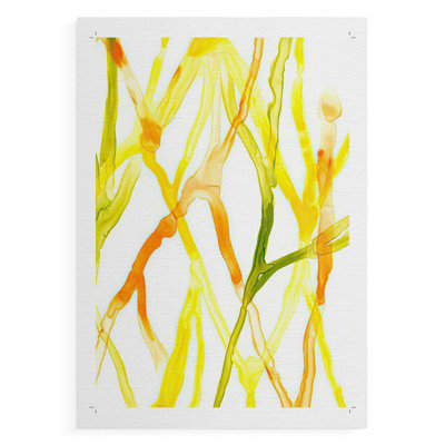 RunnelIV -Canvas Print Only - NOT FRAMED