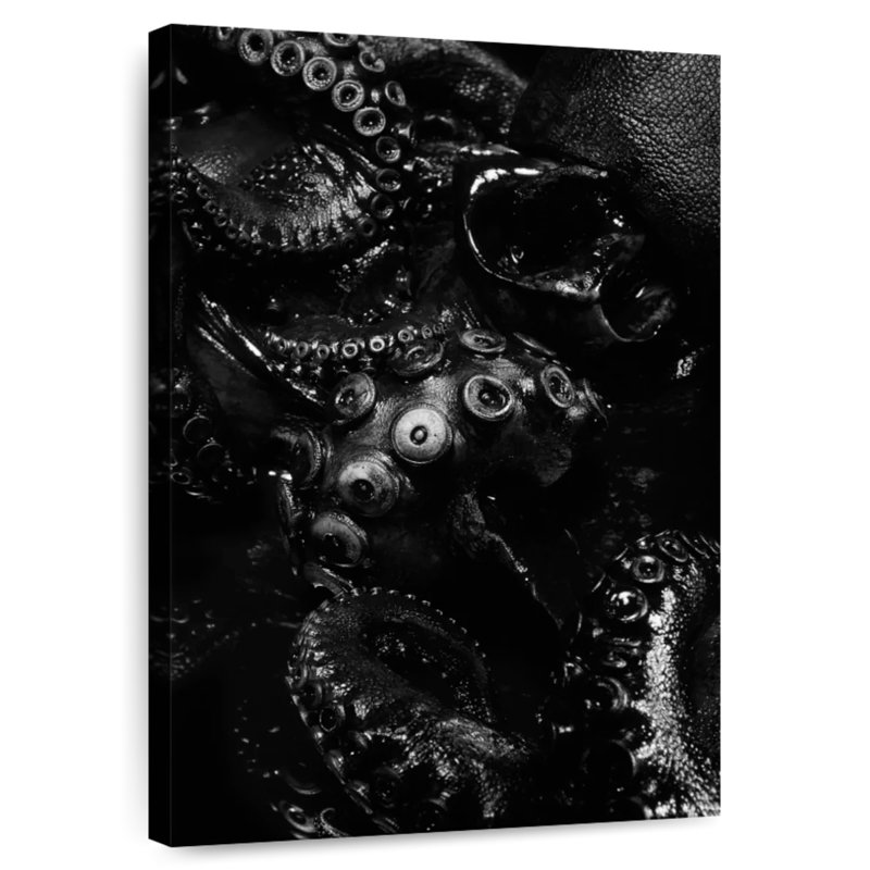 Brampt Black Octopus, 48" H x 32" W