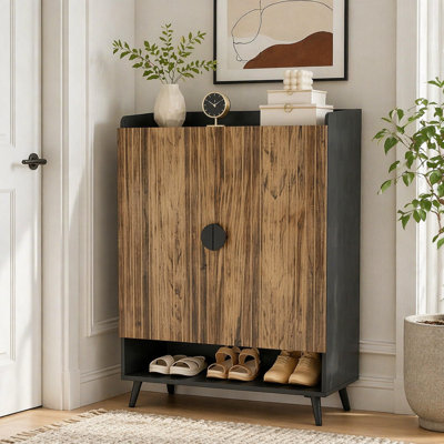 Modern Shoe Storage Cabinet