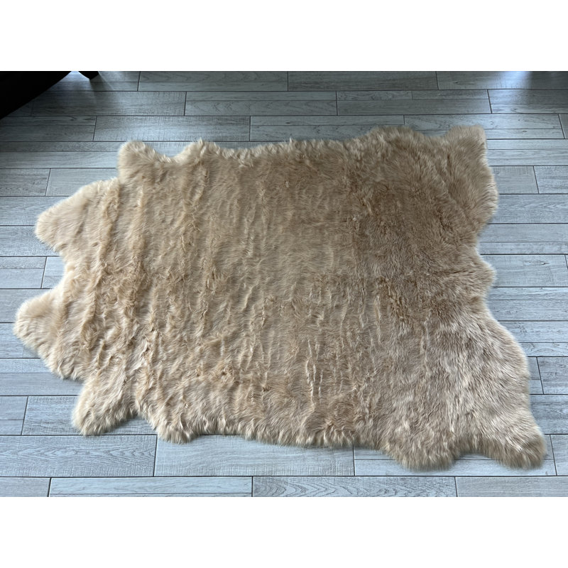 Tapis Novelty Pakin, Nouveauté 6 pi 6 po x 7 pi 6 po
