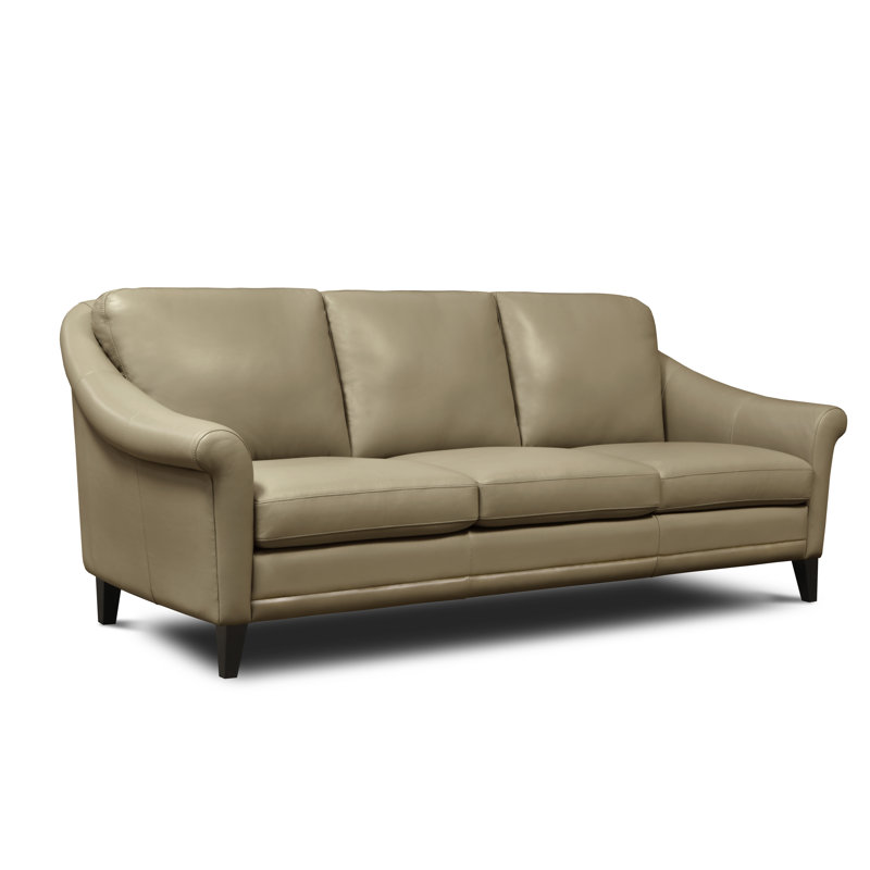 Genuine Leather 61'' Rolled Arm Loveseat, Beige Genuine Leather, 3