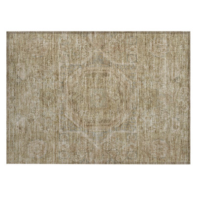 Machine Washable Indoor/Outdoor Xhevrie Tan Rug