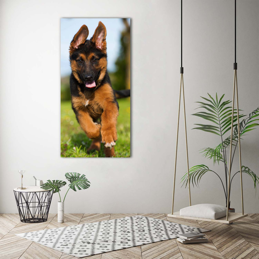 German Shepherd - Wrapped Canvas Print