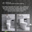 Toilette allongée 12 po à une chasse d'eau 1,6 / 1,1 GPF dans une pièce et siège blanc inclus 12 po
