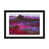 Black Framed Fine Art Paper is unavailable