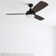 Bruening 52'' Ceiling Fan with Light Kit