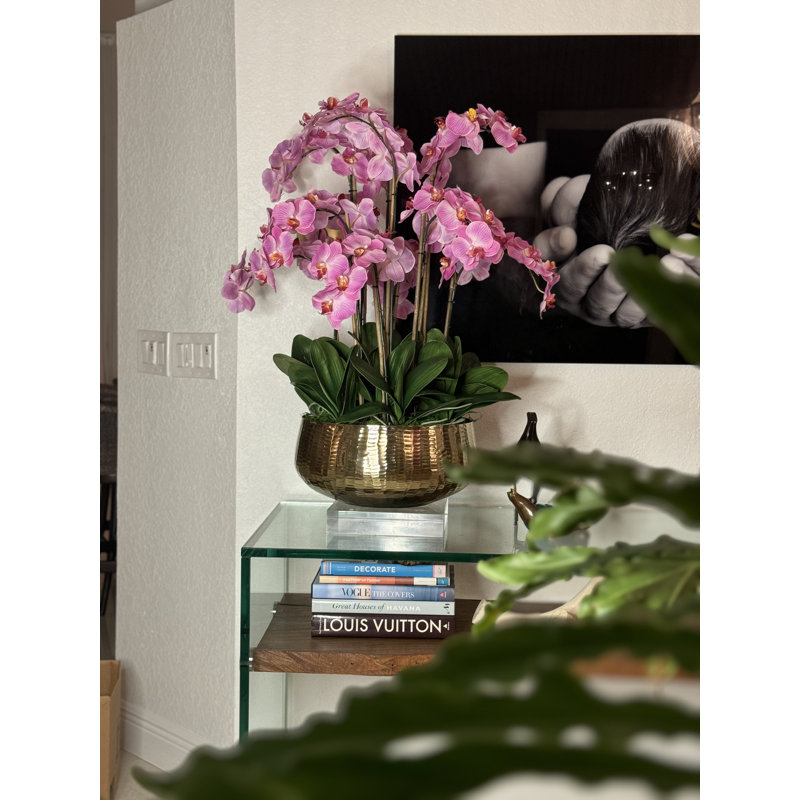 Roberi Orchid Arrangement in Planter, 38" H x 22" W x 22" D