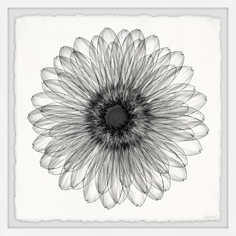 Elegant Sunflower - Single Picture Frame Painting, 30cm H x 30cm W x 3.81cm D