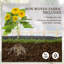 Briesha Wood Raised Garden Bed