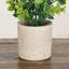 Eucalyptus artificiel bleu bébé en pot décoratif