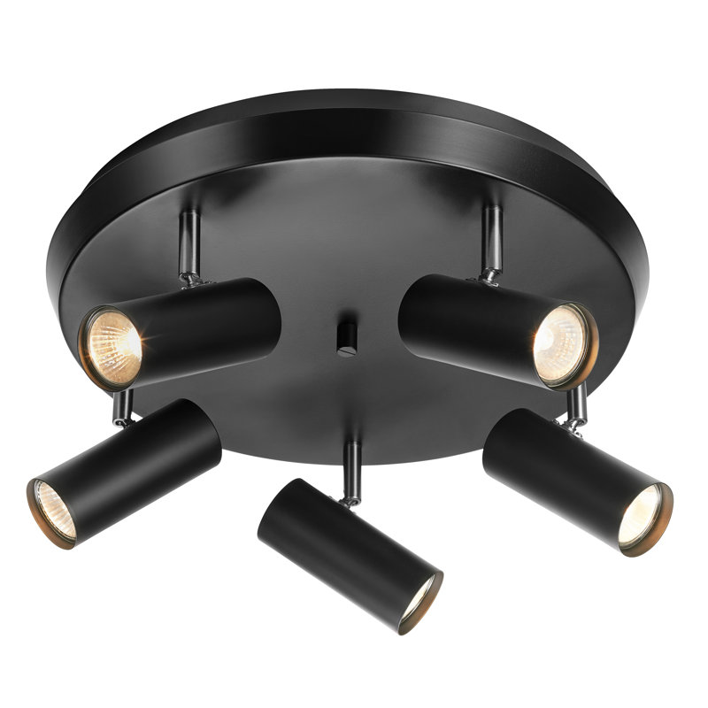 Titan Spotlight, Black/Steel