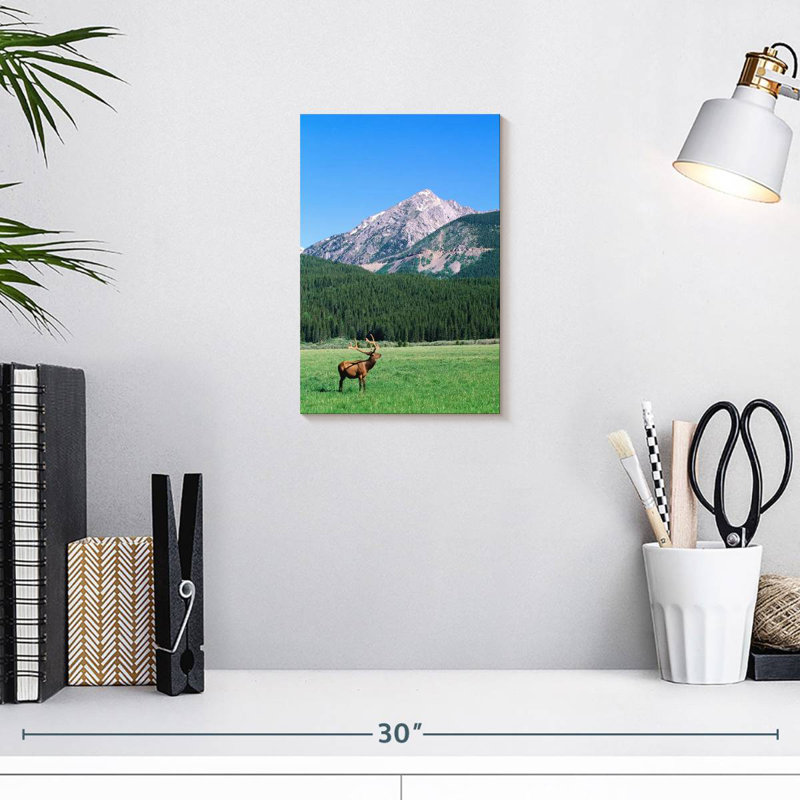 Brampt Coyote Valley Elk, 12" H x 8" W