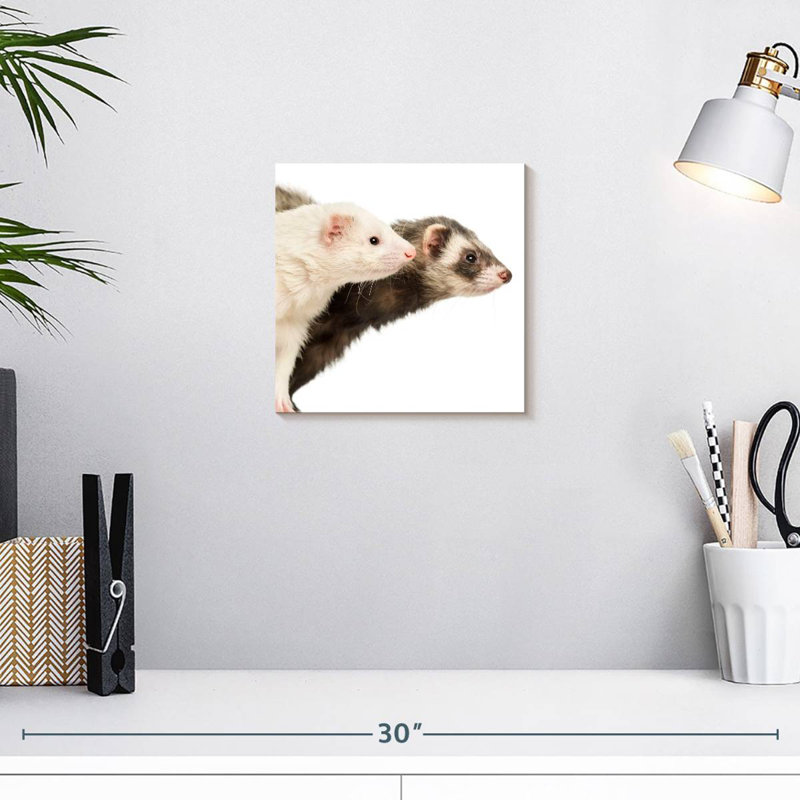 Crowle Two Curious Ferrets, 10" H x 10" W