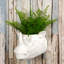 Planter-2088404598