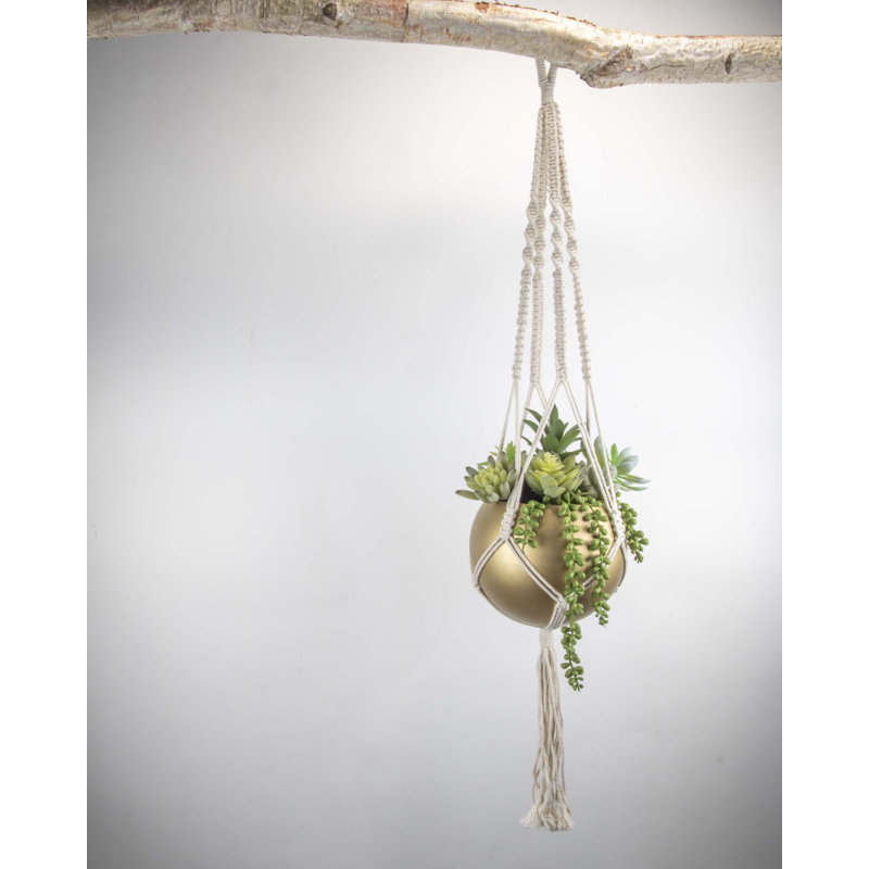 Pot de fleurs suspendu en métal Rittenberry