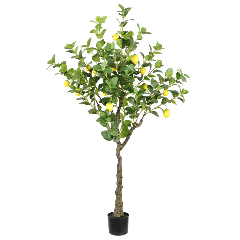 Arbre en pot faux citron 60 po