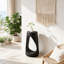 Table d'appoint Eulla, table d'appoint, table d'appoint de salon, table d'appoint en bois-979369823-989924031