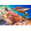 Tortue imbriquée - photographie sur toile tendue
