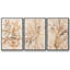 Parchemin corail I, ensemble de 3 toiles encadrées-97708949-97708950