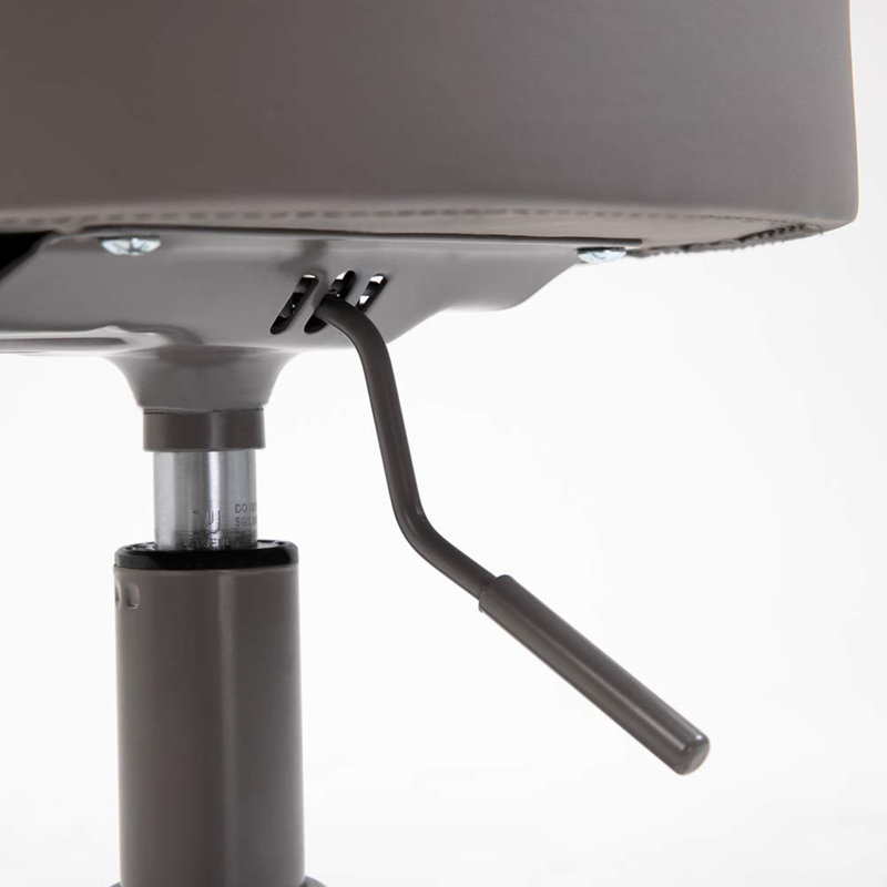Pneumatic Swivel Rolling Stool Chair with Backrest 503 KAI, Gray