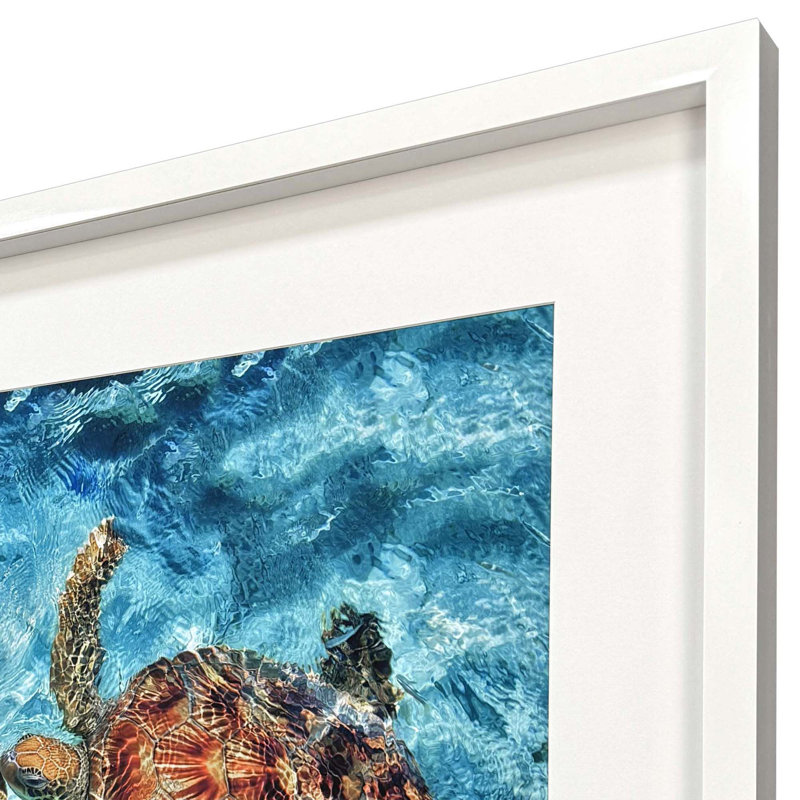 Ocean Turtles Framed Art