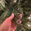 Customer photo 2 of 2